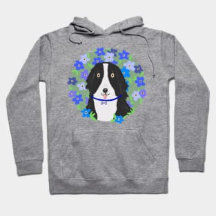 Border collie with forget me not flowers Hoodie